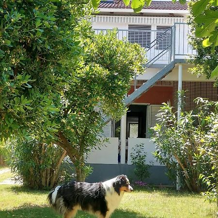 .....Und Der Hund Darf Mit Apartman Privlaka  Kültér fotó